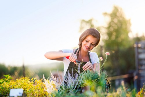 Selecting and caring for plants in Forest Hill