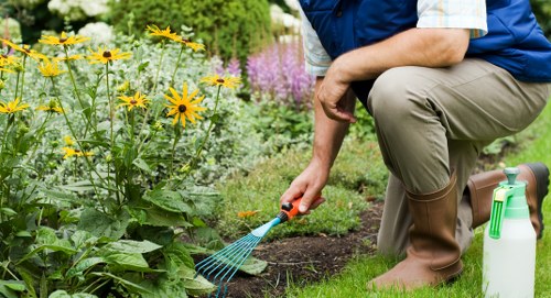 Healthy green grass after proper mowing