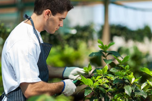 Tree pruning and trimming services in Forest Hill
