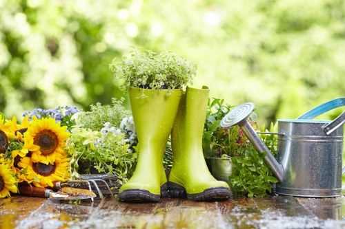 Professional garden clearance services in Forest Hill