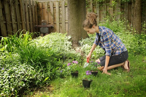 Gardener assessing a client's lawn with clipboard and camera