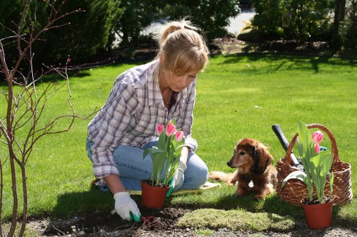 Gardener pruning hedges with protective gloves and high-vis vest