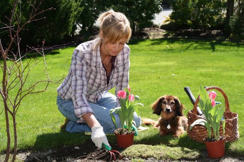 Eco-friendly garden clearance practices