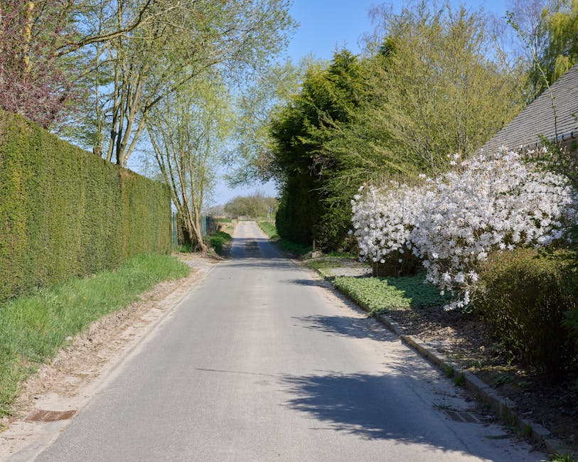 A quiet residential street with a narrow paved road flanked by well-maintained garden beds and tall, neatly trimmed hedges on the left side, and a variety of lush green trees and flowering shrubs on t