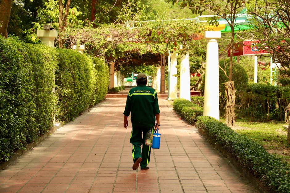 A gardener wearing a dark jacket and a wide-brimmed hat is trimming a lush, green hedge with long-handled garden shears, focusing on shaping the dense foliage. The hedge is thick and healthy, with sma